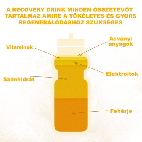 Új! Recovery Drink Banán/Vanilia 450g (9 adag)