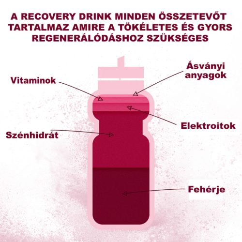 Új! Recovery Drink Nyárigyümölcs 1,6Kg (32 adag)
